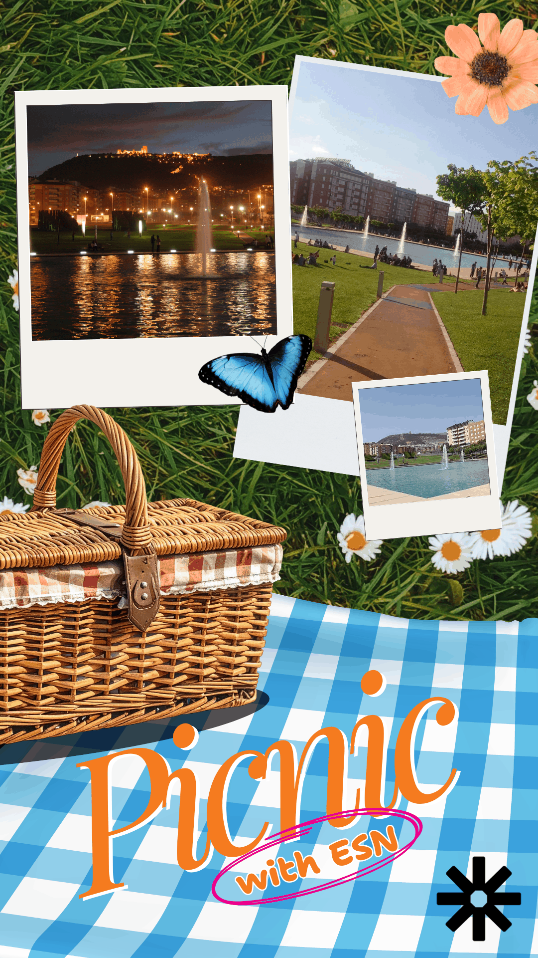 Picnic With ESN